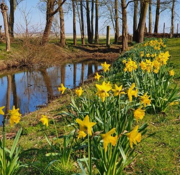 Bed and Breakfast De Zeeuwsche Hoeve