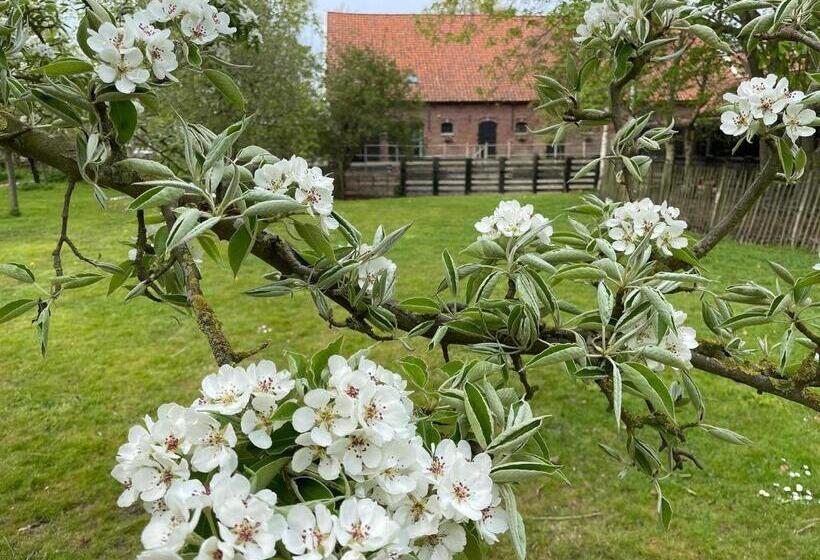Bed and Breakfast De Zeeuwsche Hoeve