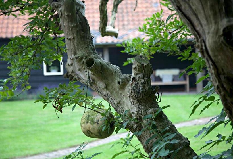 Bed and Breakfast De Zeeuwsche Hoeve