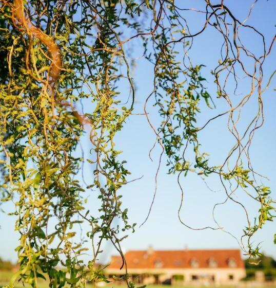 مبيت وإفطار Hoeve Roosbeek