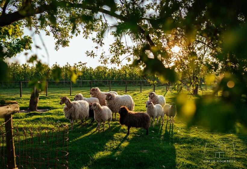 مبيت وإفطار Hoeve Roosbeek