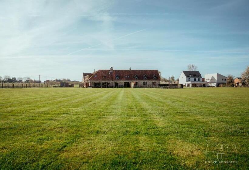 مبيت وإفطار Hoeve Roosbeek