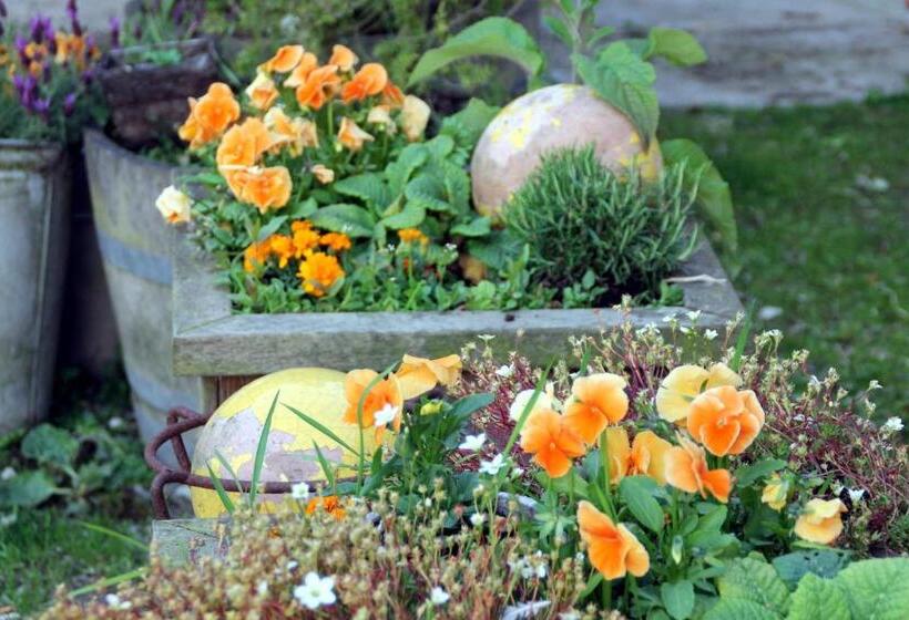 צימר Logement Doosje