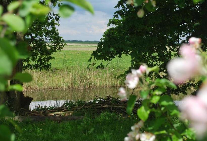 مبيت وإفطار Logement Doosje