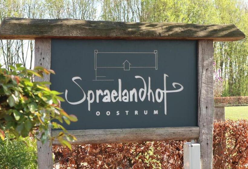 צימר Spraelandhof