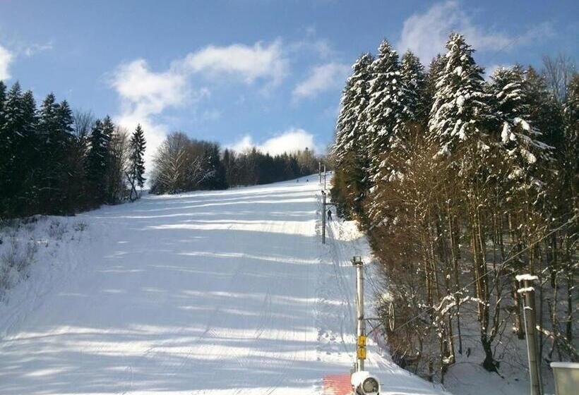 Horský Hotel Podjavorník