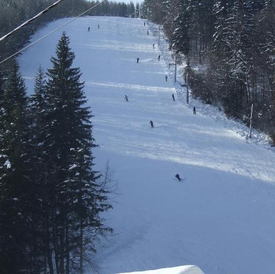 Horský Hotel Podjavorník