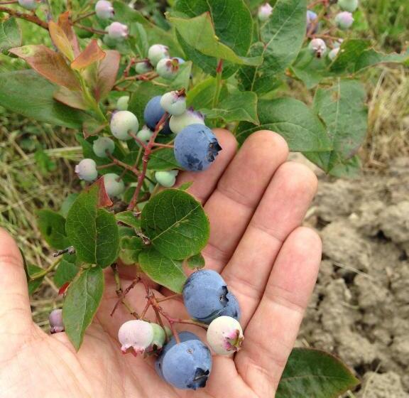 בית מלון כפרי Agriturismo Il Passeggere