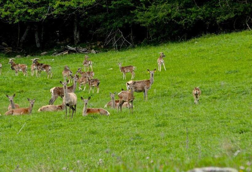 בית מלון כפרי Agriturismo Il Passeggere