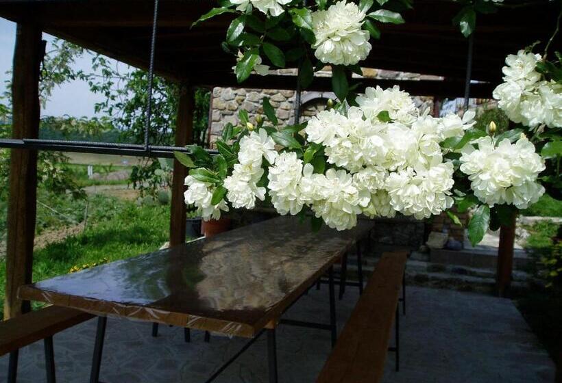 בית מלון כפרי Agriturismo Podere Micitto