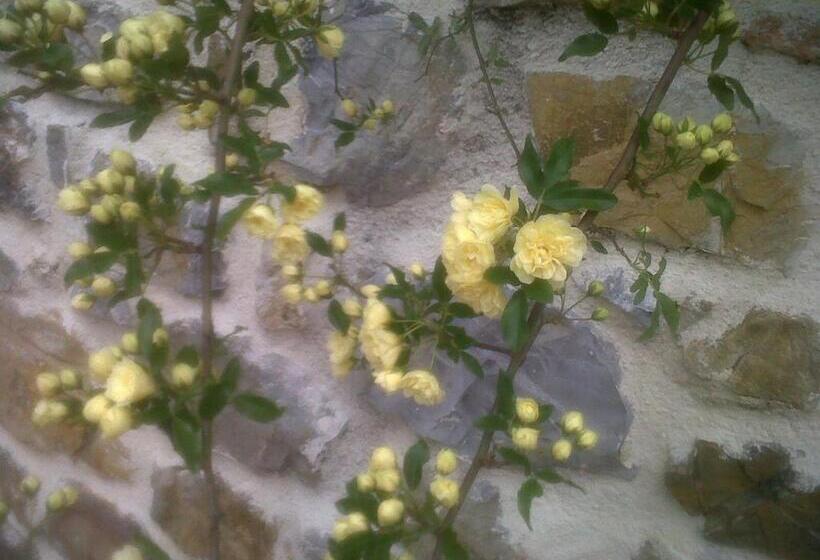 בית מלון כפרי Agriturismo Podere Micitto