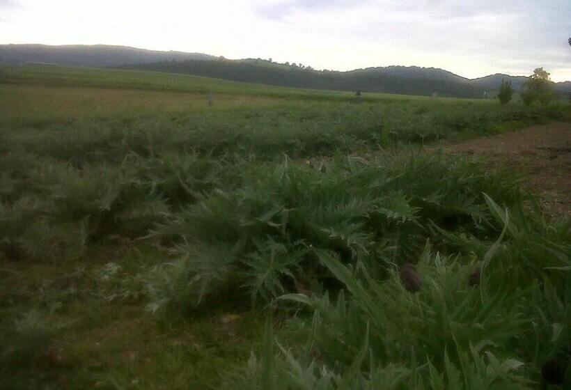 בית מלון כפרי Agriturismo Podere Micitto