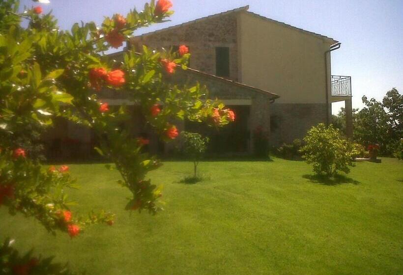 בית מלון כפרי Agriturismo Podere Micitto