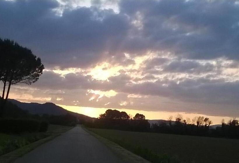 ホテル Agriturismo Podere Mulinaccio