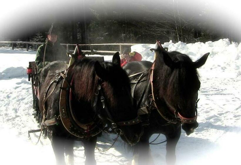 호텔 Agriturismo Prati Oitzinger