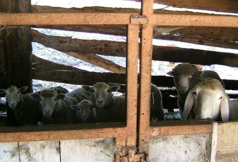 호텔 Agriturismo Prati Oitzinger