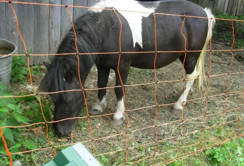 호텔 Agriturismo Prati Oitzinger