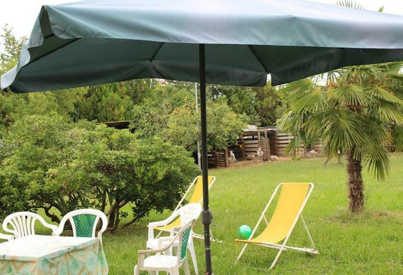 בית מלון כפרי Agriturismo Spigolo