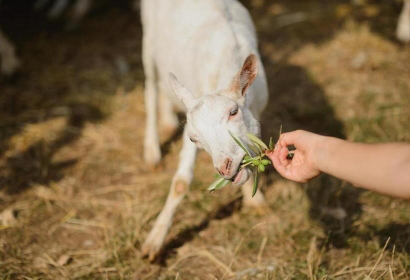 בית מלון כפרי Agriturismo Spigolo