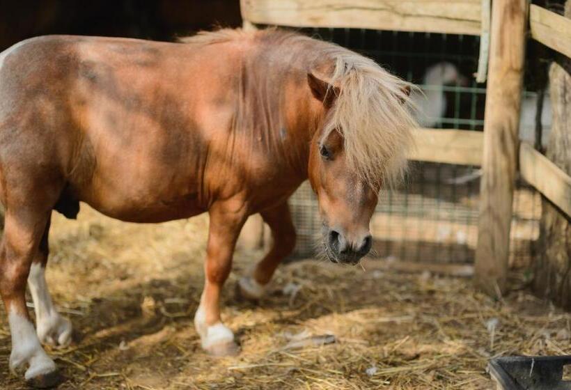 فندق Agriturismo Spigolo