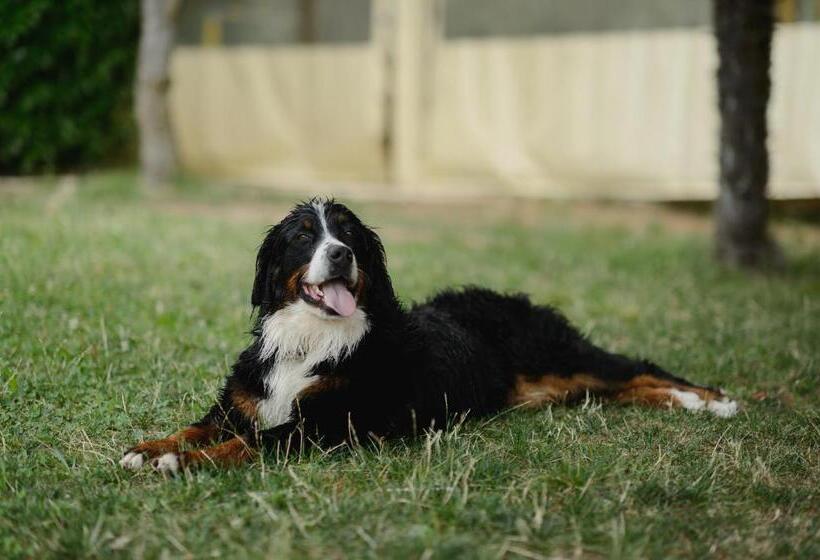 בית מלון כפרי Agriturismo Spigolo