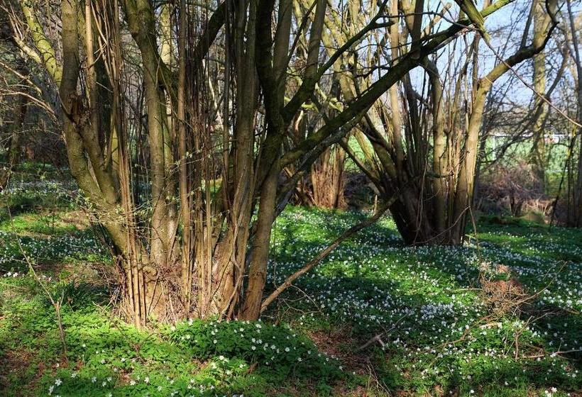 فندق Bodelssons By The Sea