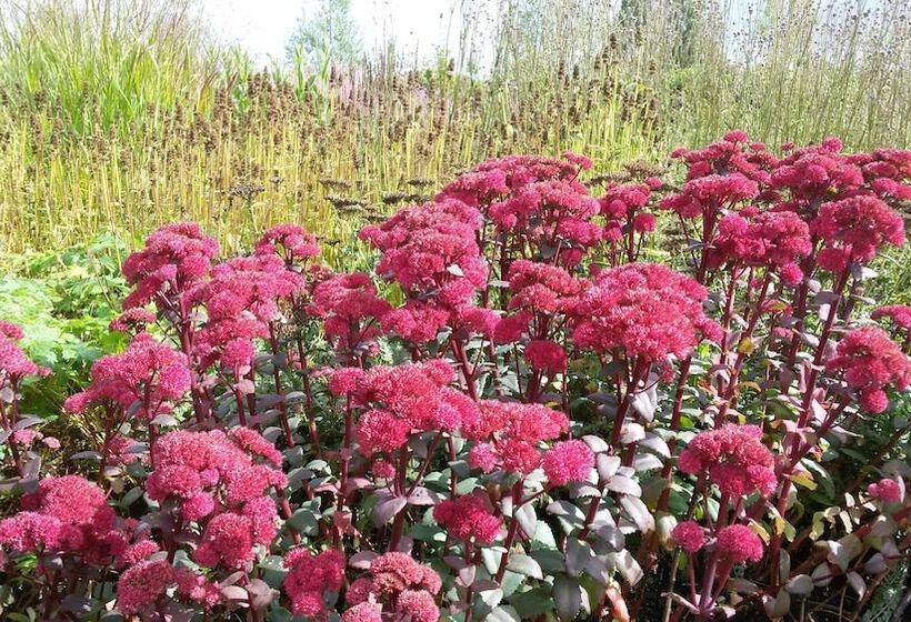 호텔 Boerderij Hazenveld