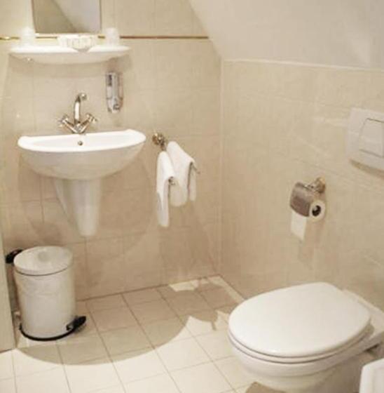 בית מלון כפרי De Gouden Molen