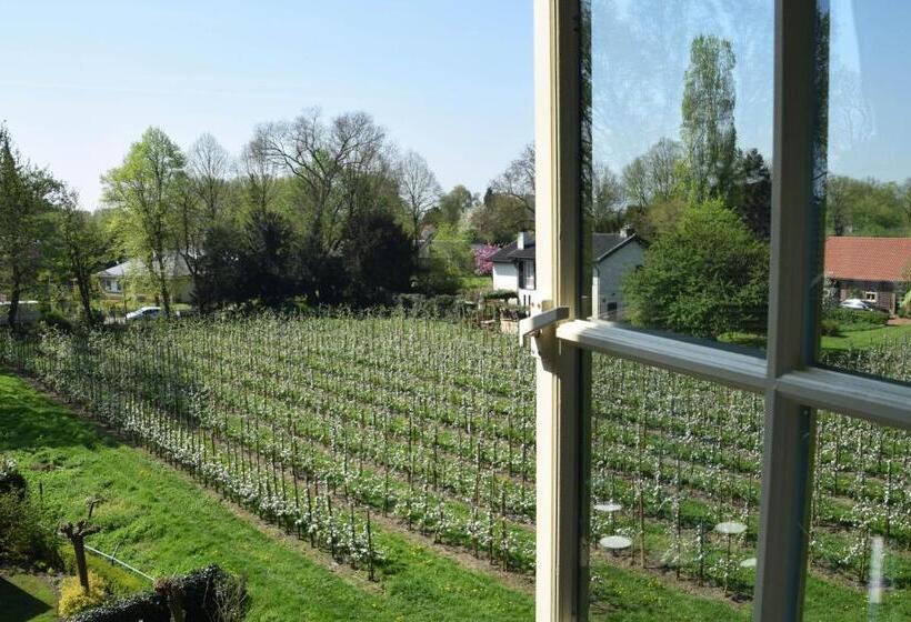 בית מלון כפרי De Gouden Molen