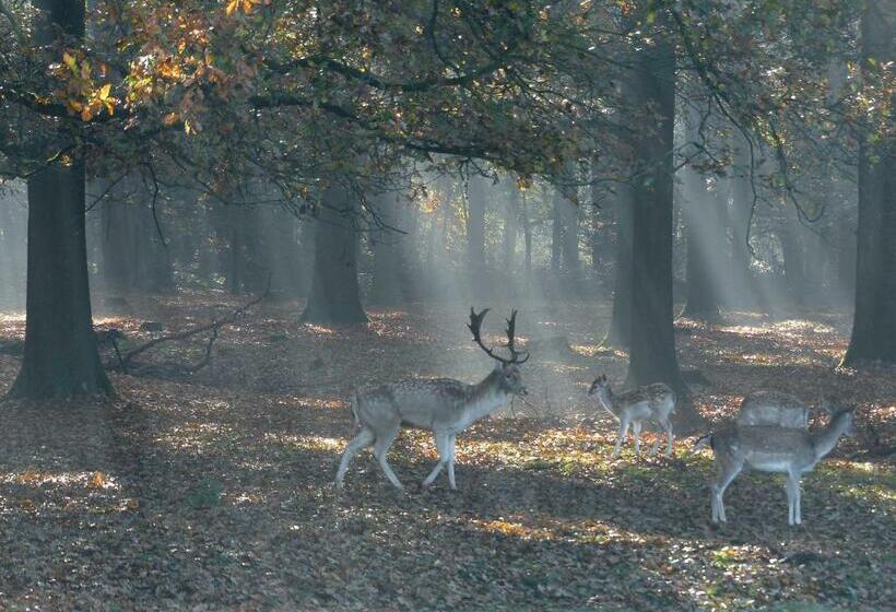 Отель De Spaarbankhoeve