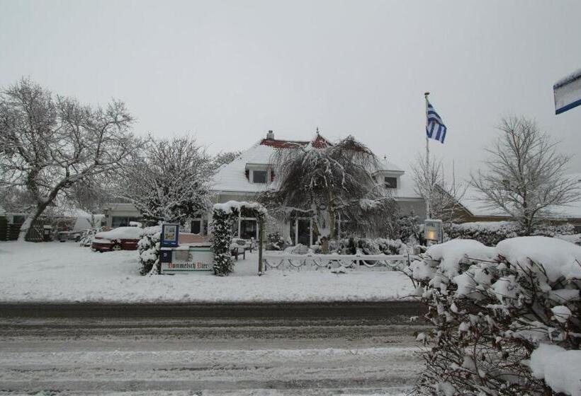 בית מלון כפרי De Zilvermeeuw