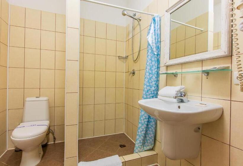 בית מלון כפרי Georg Park