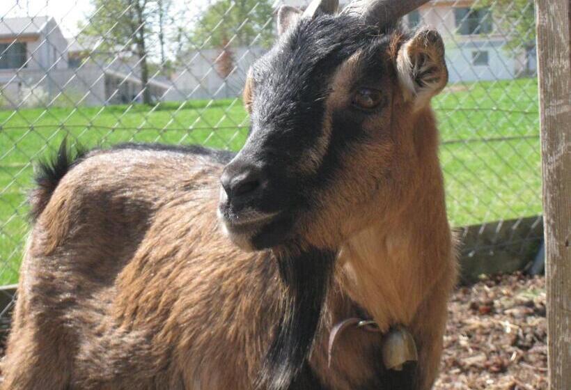 ホテル Gibswilerstube