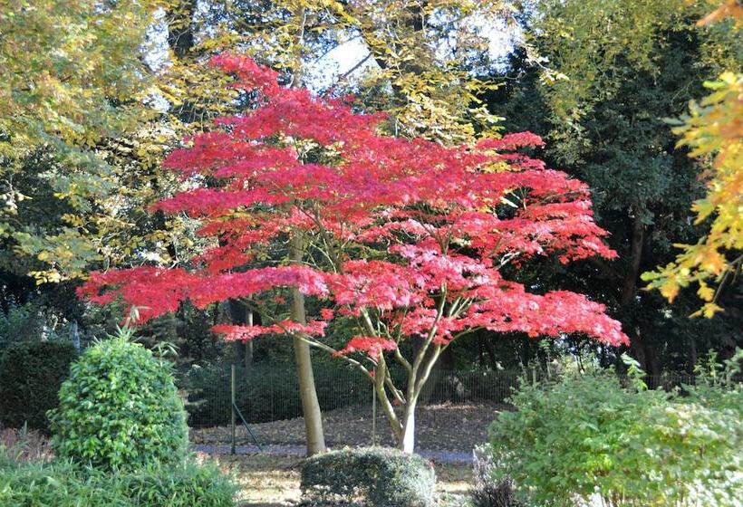 בית מלון כפרי Haras Des Chartreux