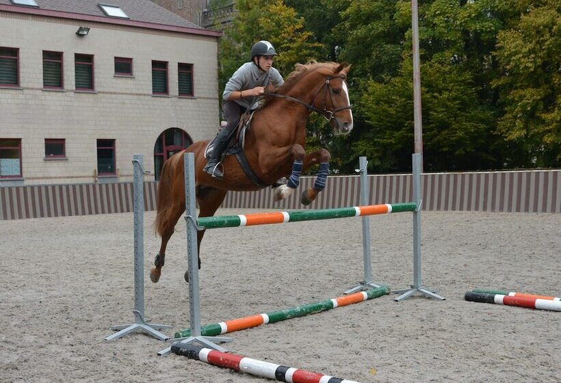 בית מלון כפרי Haras Des Chartreux