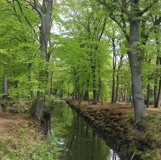 בית מלון כפרי Herberg Boswijck, B&b