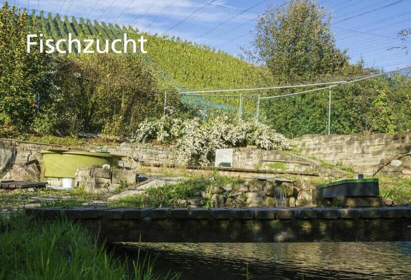 בית מלון כפרי Kartause Ittingen