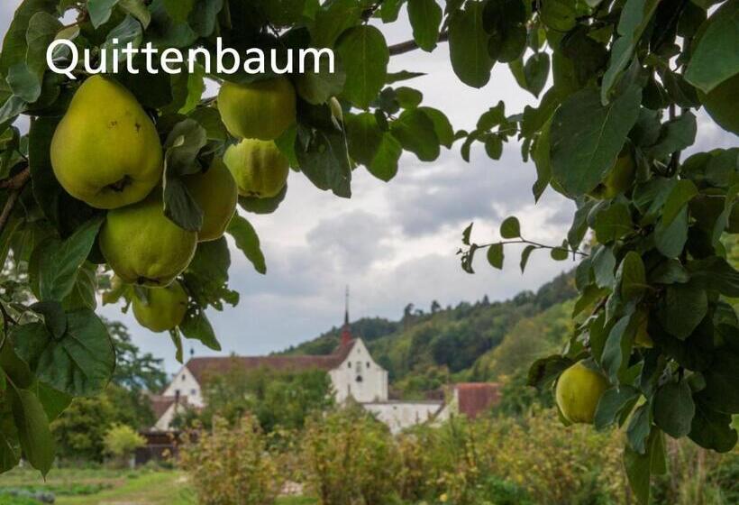 בית מלון כפרי Kartause Ittingen