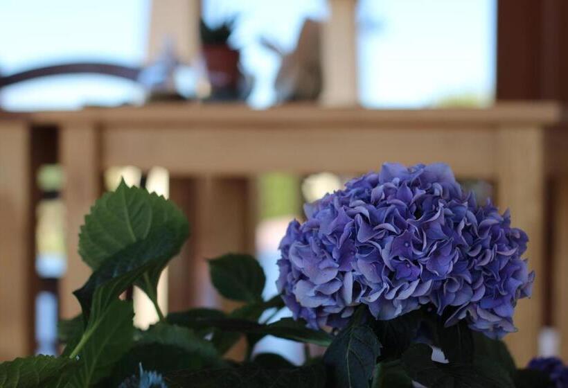 ホテル Locanda Rurale Lu Salconi