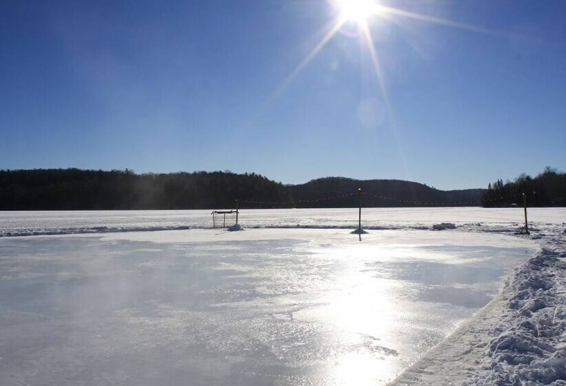 酒店 Ogopogo Resort