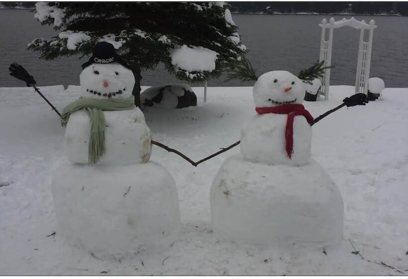 فندق Ogopogo Resort