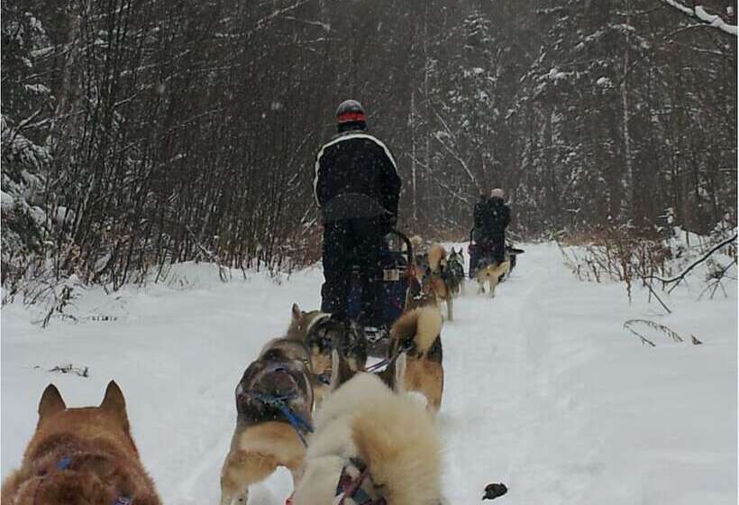 فندق Ogopogo Resort