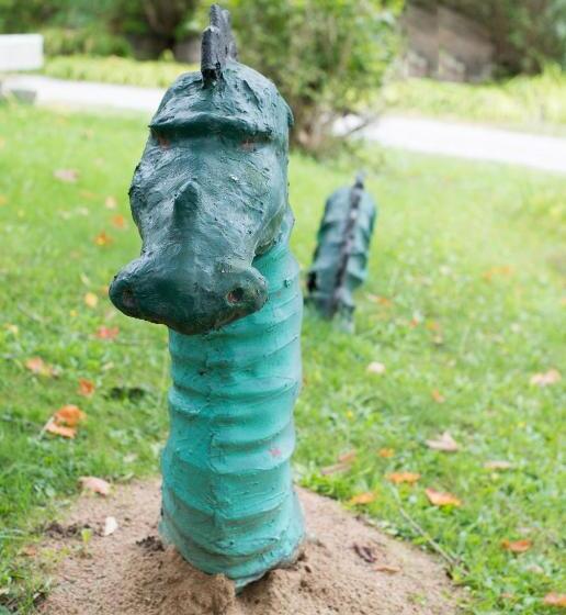 فندق Ogopogo Resort