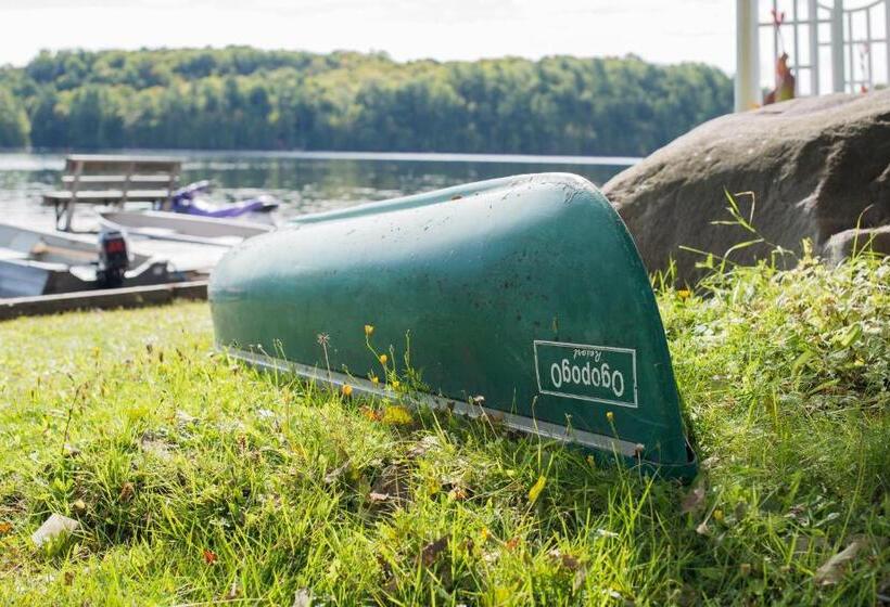 酒店 Ogopogo Resort