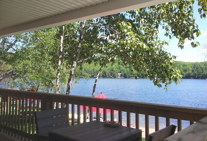 酒店 Ogopogo Resort