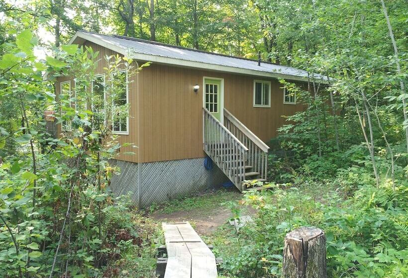 酒店 Ogopogo Resort