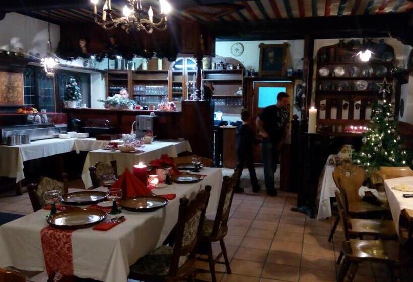 בית מלון כפרי Penzion Gaudeamus