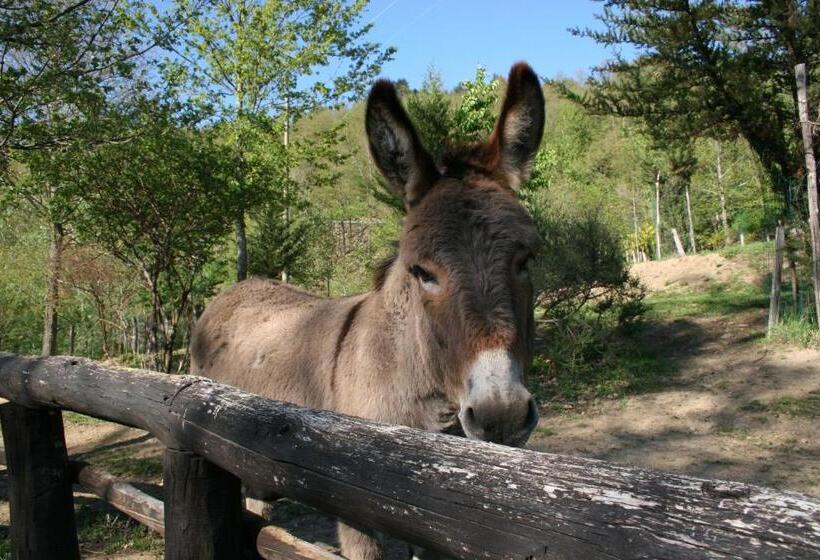 Отель Podere Pian De  Cortini