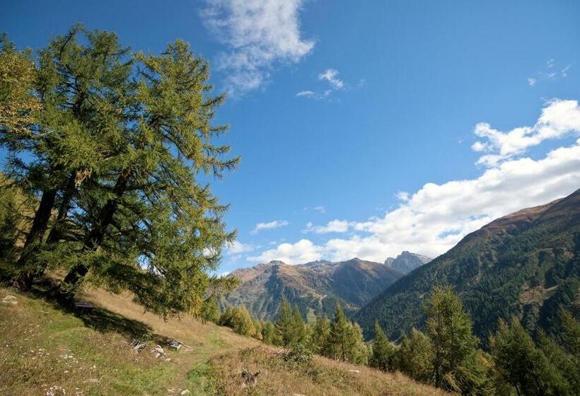 בית מלון כפרי Restaurant Drei Tannen