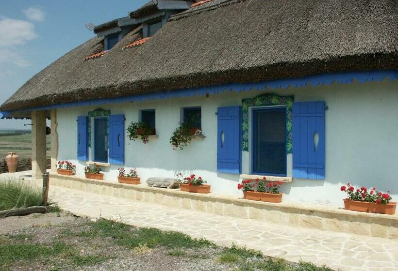 Отель Safari Danube Delta